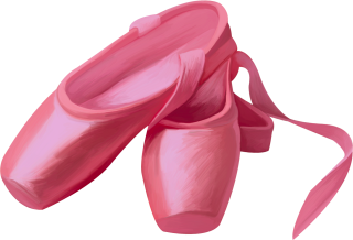ballet shoes