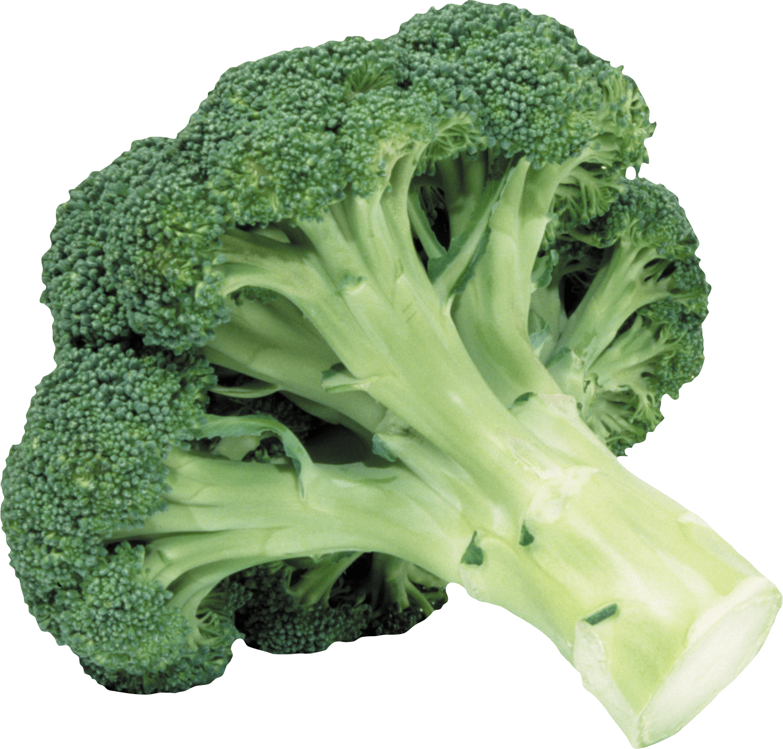 broccoli