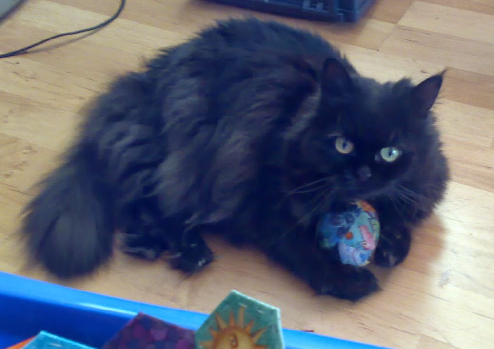 Tiggi