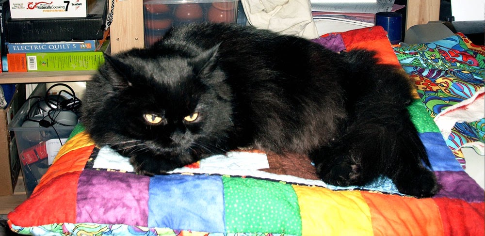 Tiggi