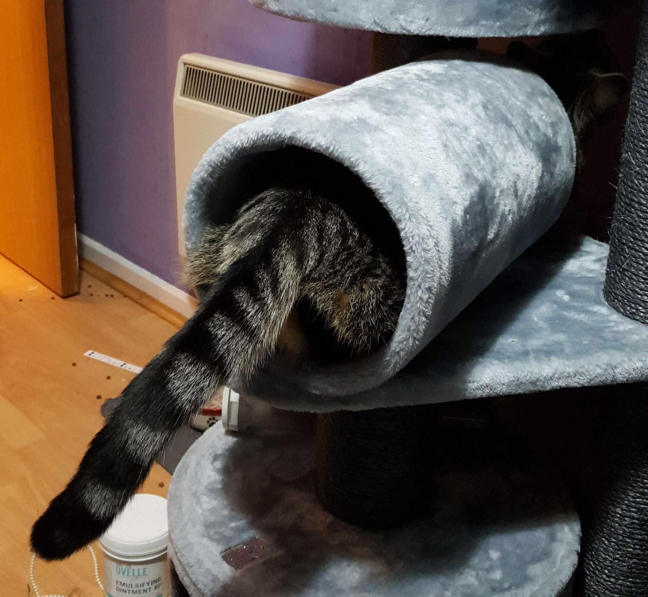 Spot