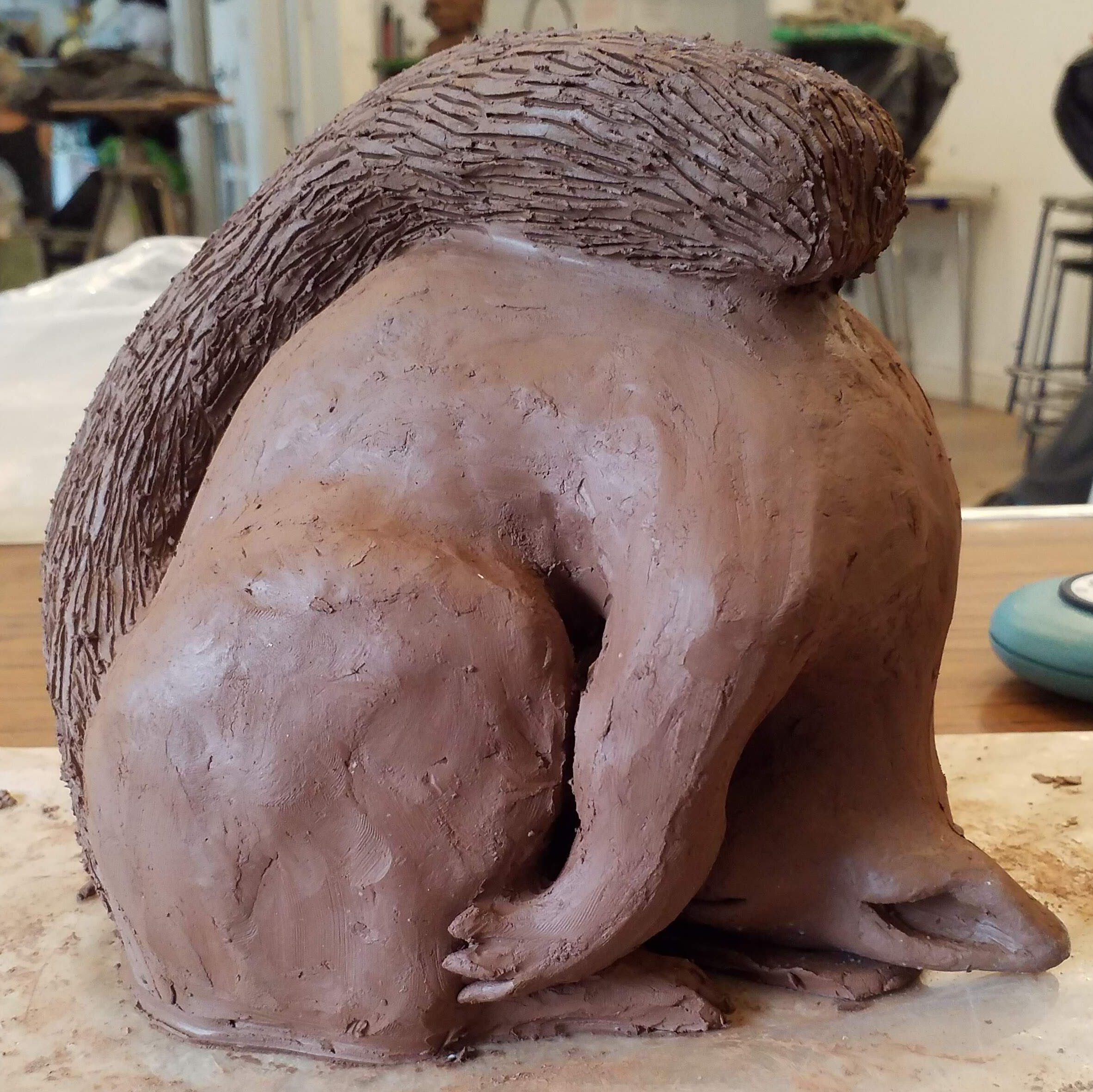 Squirrel